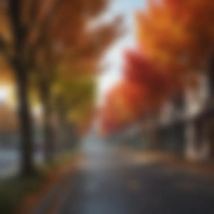 Urban landscape featuring colorful trees