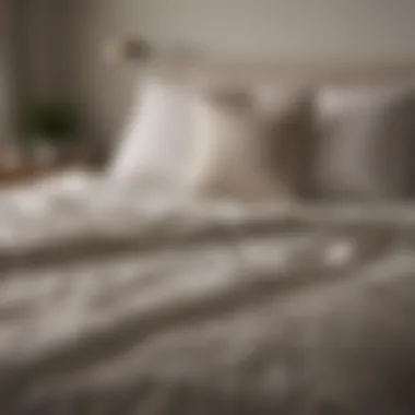 Aesthetic Appeal of Barefoot Dreams Duvet Colors Color palette of Barefoot Dreams duvet highlighting its aesthetic appeal