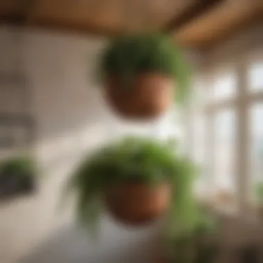 Care Tips for Thriving Hanging Planters Expert tips on caring for hanging planters with healthy greenery.
