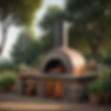 Stylish outdoor portable pizza oven set against a scenic background