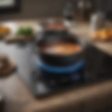 An induction stovetop featuring a modern interface and a pot on its surface, demonstrating efficiency.