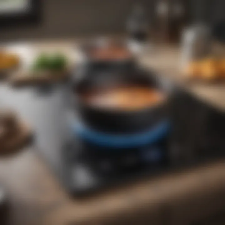An induction stovetop featuring a modern interface and a pot on its surface, demonstrating efficiency.