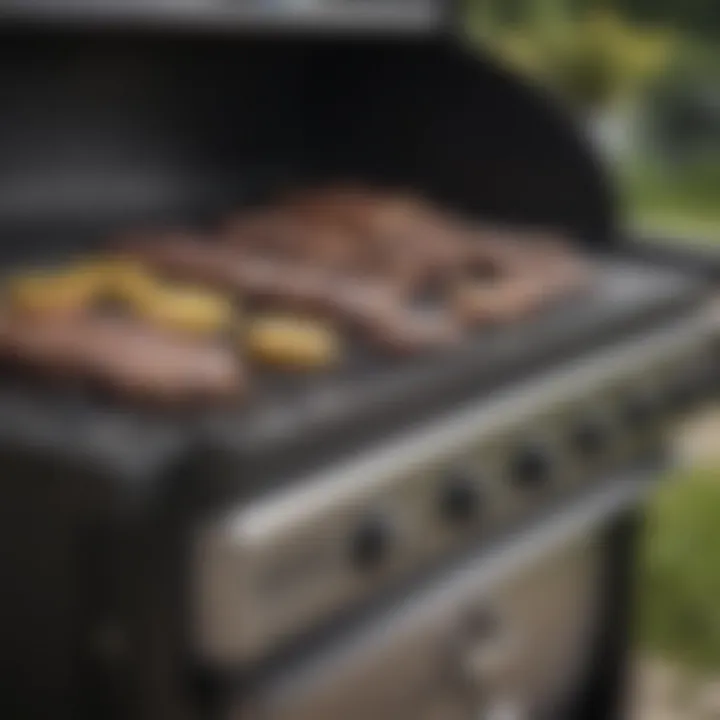 Close-up of essential features on a modern gas barbecue grill