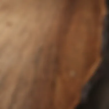 Natural Acacia Wood Grain Close-up of acacia wood grain showcasing its natural beauty