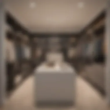Customization in Walk-in Closet Layouts Customizable walk-in closet with versatile storage options and stylish decor