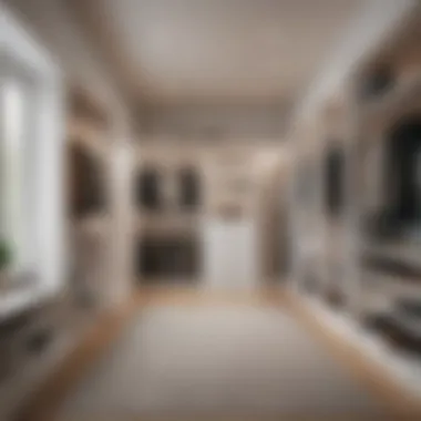 Minimalist Approach to Closet Layouts Minimalist walk-in closet with a focus on clean lines and functionality