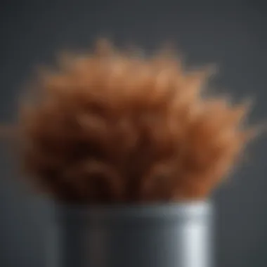 Close-up of features on a hair vacuum trash can