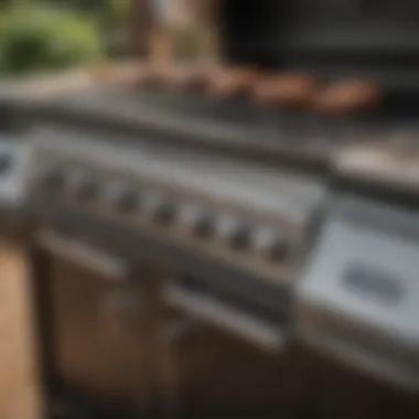 Detailed features of the Weber Spirit E 310 grill Close-up of Weber Spirit E 310 grill features and design