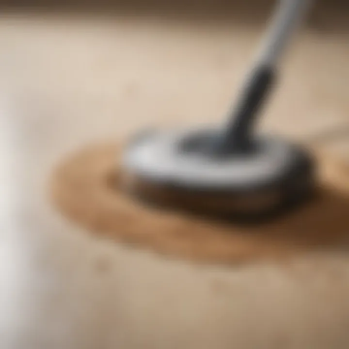 Close-up of robot vacuum's brush system designed for sand removal