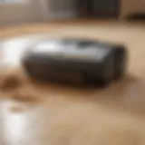 Robot vacuum efficiently cleaning sand from hardwood floor