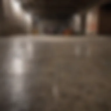 Maintained Basement Floor Maintained basement floor showcasing durability