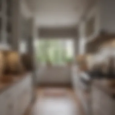 Maximizing Space in Galley Kitchen Layout Efficient layout of a galley kitchen maximizing space and organization