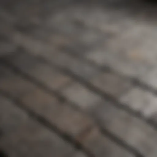 Close-up of black mold on grout lines between tiles