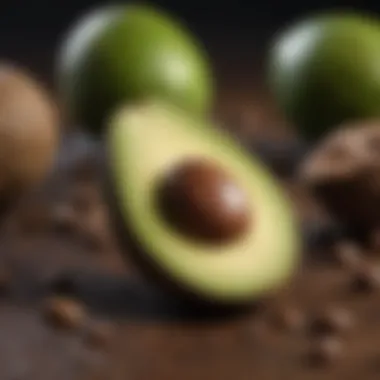 Avocado Seeds for Germination Close-up of avocado seeds ready for germination