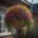 Vibrant hanging basket filled with colorful flowers