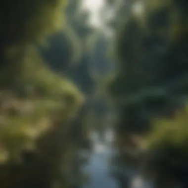 Diverse aquatic plants thriving in a natural pond