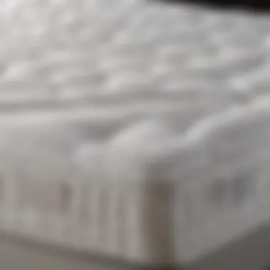 Types of Mattress Toppers for Firmness An illustration of various types of mattress toppers that enhance firmness.