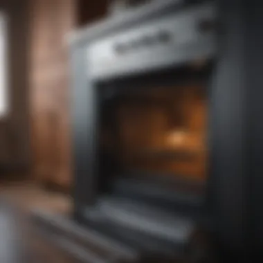 Pristine Oven Interior After Sanitization A sparkling clean oven interior showcasing pristine surfaces