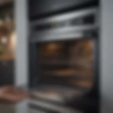 Step-by-step visual guide on sanitizing different oven types