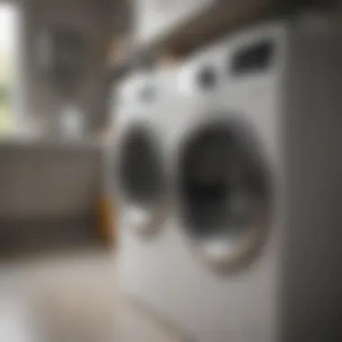 User-friendly control panel of a washer dryer