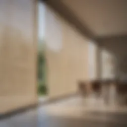 Elegant sheer blinds for a sliding door enhancing natural light