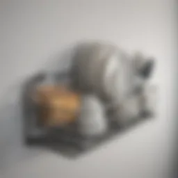 Elegant wall-mounted dish rack showcasing modern design