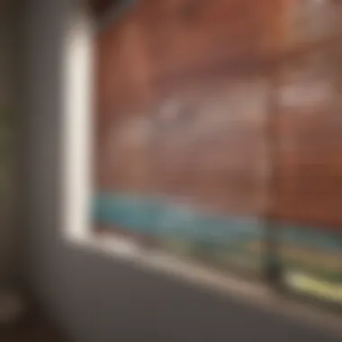 Colorful blinds harmonizing with home decor