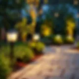 Stylish outdoor path lighting illuminating a garden pathway