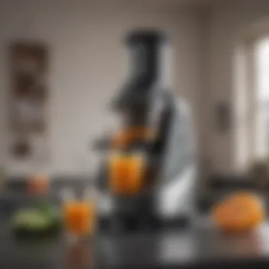 Sleek Design of Kuvings Juicer Kuvings Juicer showcasing sleek design