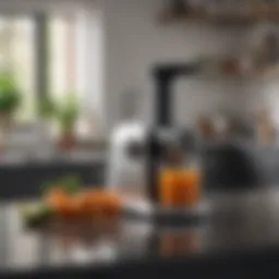 An elegant low speed masticating juicer on a kitchen counter
