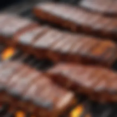 A close-up of grilled meats with tantalizing grill marks