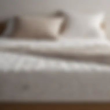 Comparative Analysis of Mattress Toppers Comparison chart of various mattress toppers