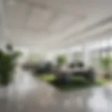 A bright and airy modern office layout with large windows and greenery