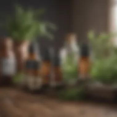 Essential Oils for Pest Control Bottles of essential oils arranged alongside fresh herbs, illustrating natural deterrents.