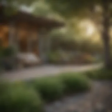 Creating a Wasp-Free Outdoor Environment A serene outdoor space adapted to discourage wasps
