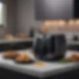 Elegant design of the Ninja Dual Zone Air Fryer showcasing its dual cooking zones