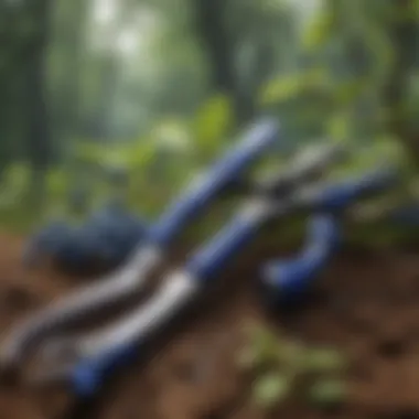 Pruning shears resting on a freshly pruned blueberry branch