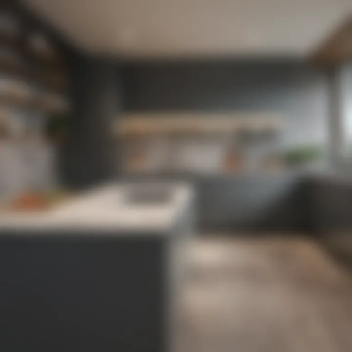 Modern kitchen design with gray cabinets and complementary wall colors