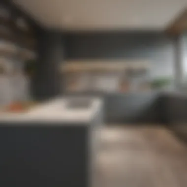 Modern Kitchen Design with Gray Cabinets Modern kitchen design with gray cabinets and complementary wall colors