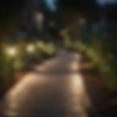 Elegant pathway lighting guiding the way