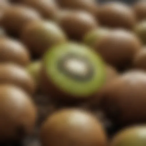 Close-up view of kiwi seeds ready for planting