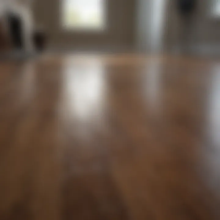 Applying finish to hardwood floor