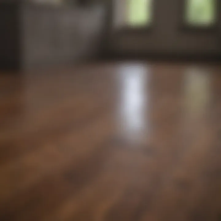 Proper care for recoated hardwood floors