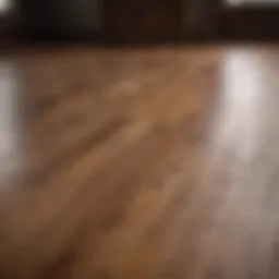 A beautifully maintained wood floor showcasing a rich, warm finish.