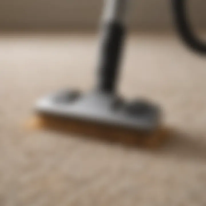 Close-up of pet hair being vacuumed from a carpet