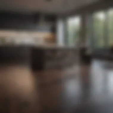 Modern kitchen with dark wood flooring