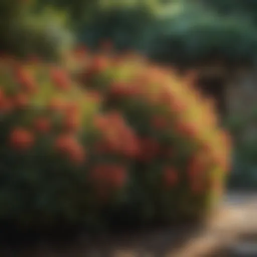 Vibrant shrubs flourishing in a shaded garden