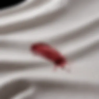 Wine stain on a pristine white shirt