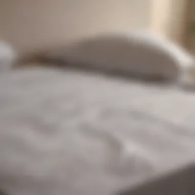 Different mattress types showcasing fitted sheets