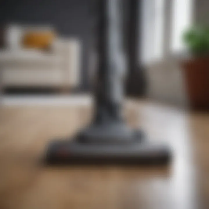 Stylish and sustainable vacuum cleaning solutions